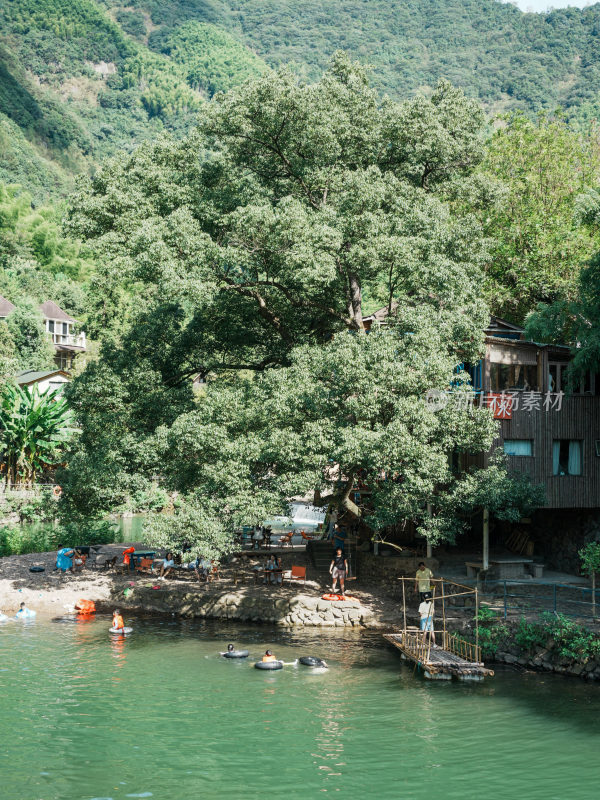 河边大树下人们休闲娱乐场景