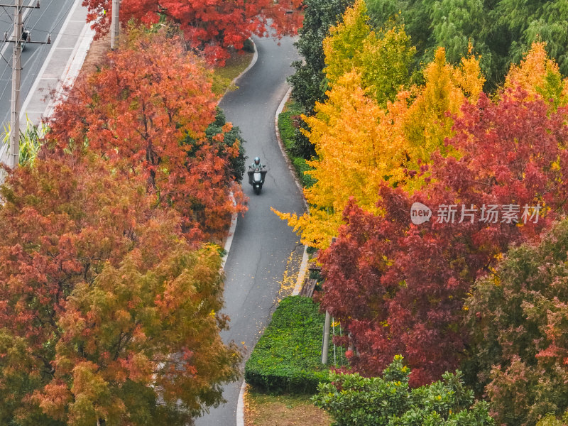 航拍昆山道路上的秋冬景色