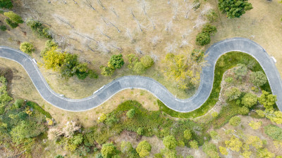 俯拍冬天园林里的道路和两侧不同的树木