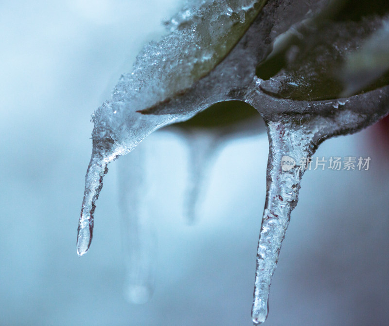 冬季雪景高清摄影图