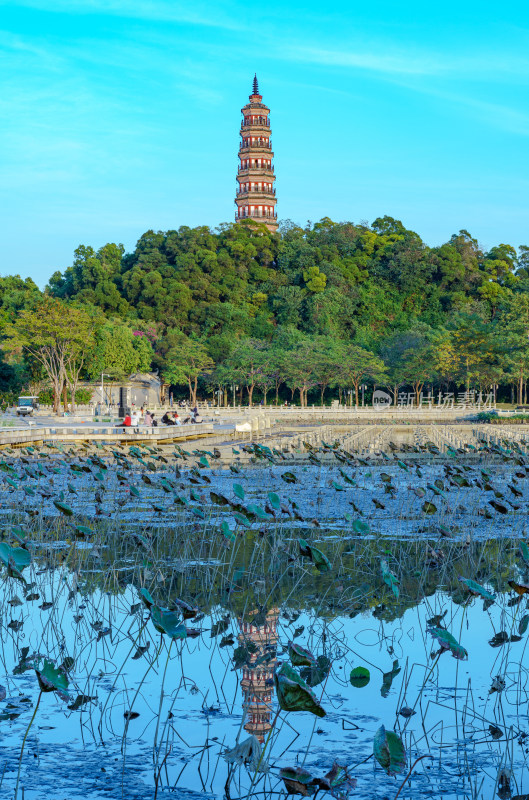 佛山顺峰山公园湖泊池塘山林古塔风光