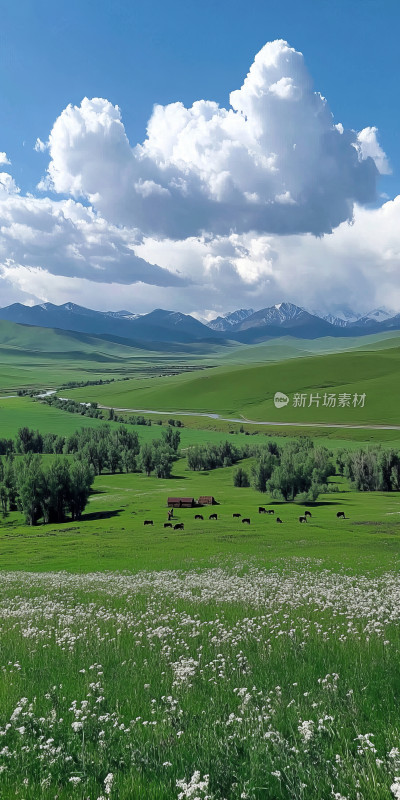 唯美小清新蓝天白云高山草原自然风景