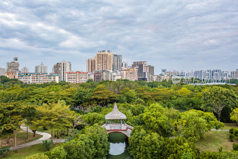 三亚市临春河路白鹭公园，红树林公园