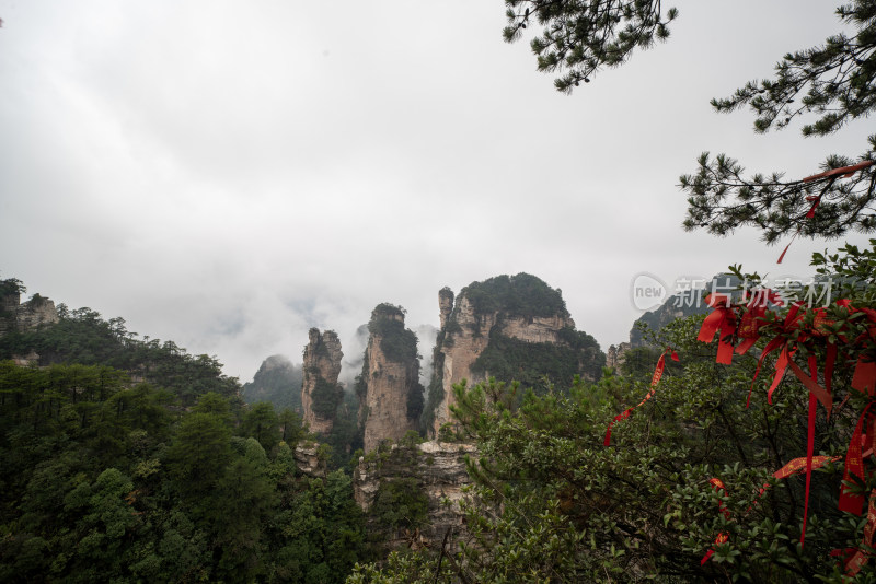 云雾缭绕的张家界奇峰异石景观