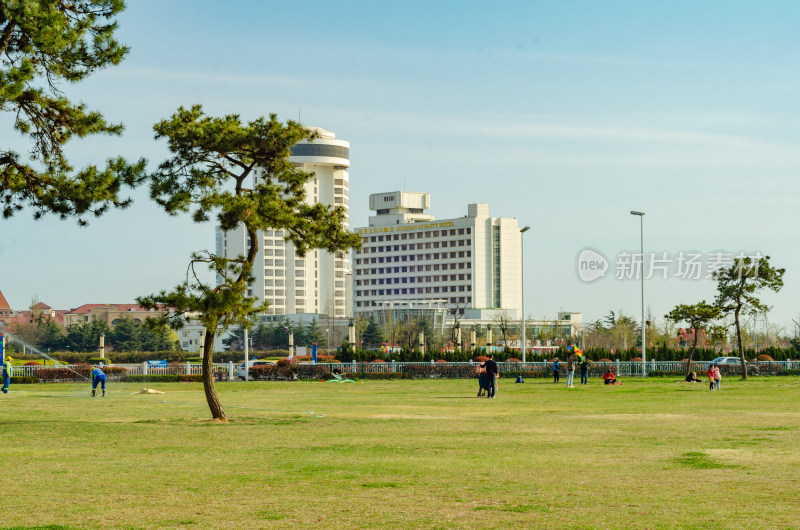 青岛汇泉湾广场草坪