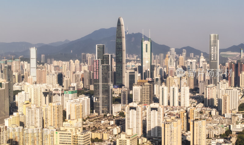 深圳高楼建筑群全景