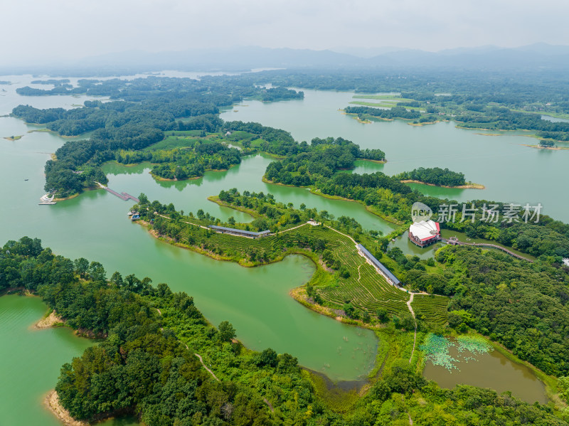 航拍夏季河南信阳南湾湖茶岛风光