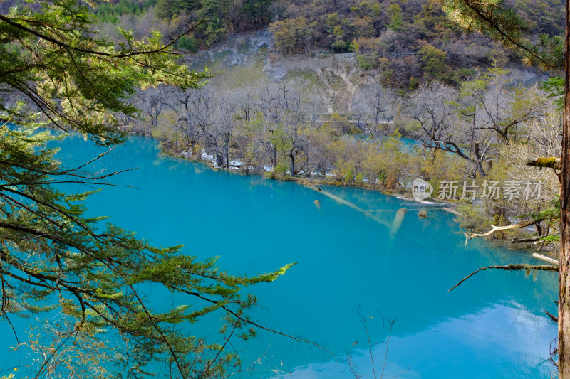 秋天四川阿坝州九寨沟老虎海景点