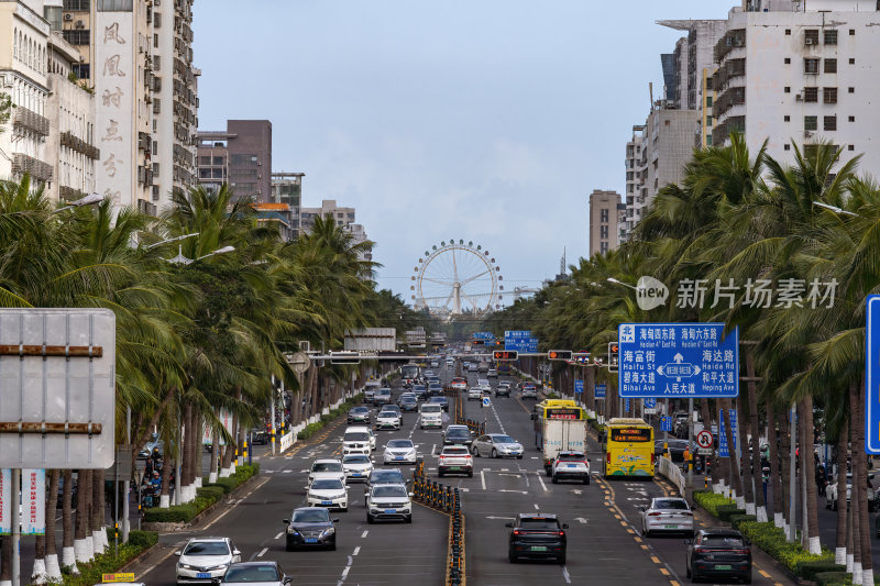 海南海口滨海城市摩天轮棕榈树下的城市大道