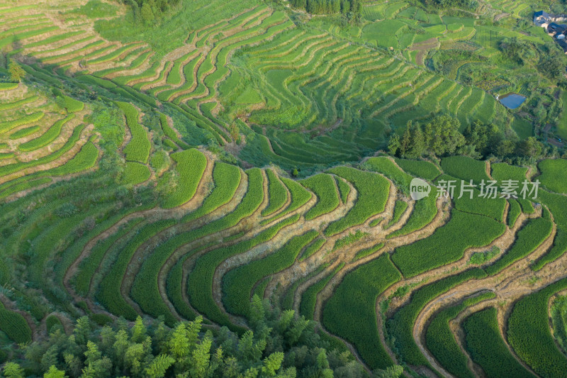 云和梯田景区风光航拍