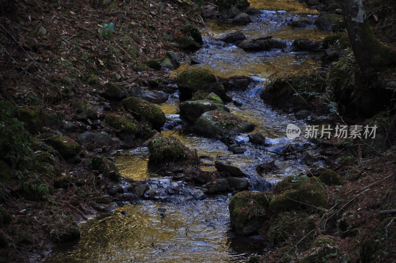 株洲风景  株洲神龙谷