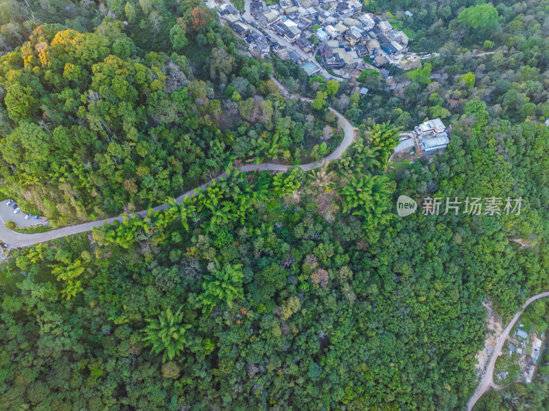 航拍被森林环绕的景迈山村庄全景