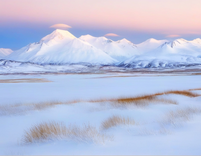 高山雪地