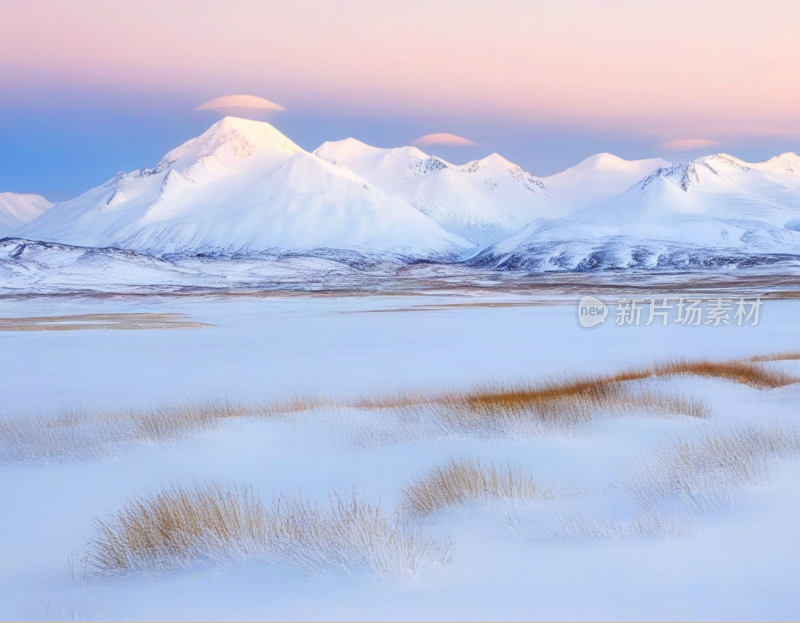 高山雪地