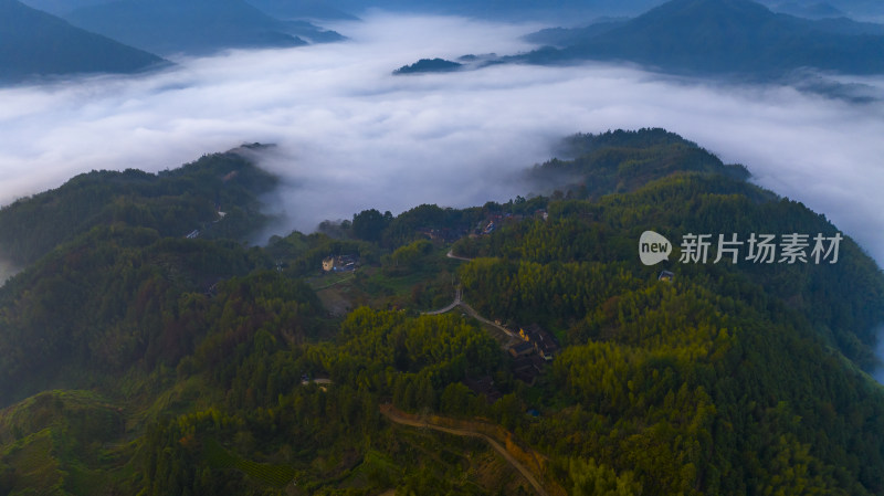 江南高山群山晨曦云海云雾浙江丽水松阳