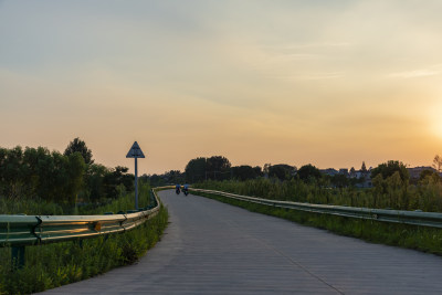 夕阳下的乡村道路