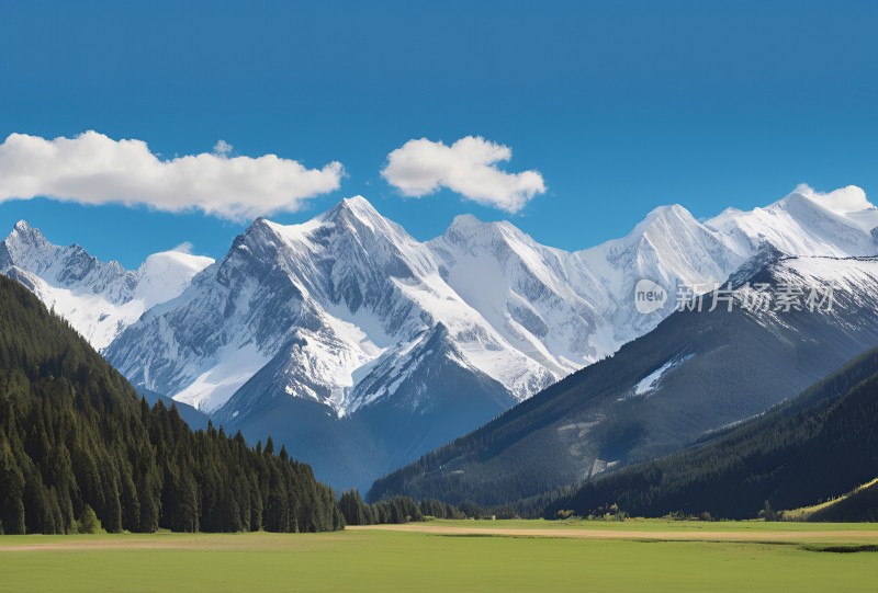 雪山高原草原森林风景