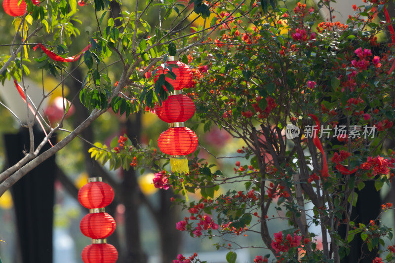 春节新年树挂着一排排红色的小灯笼