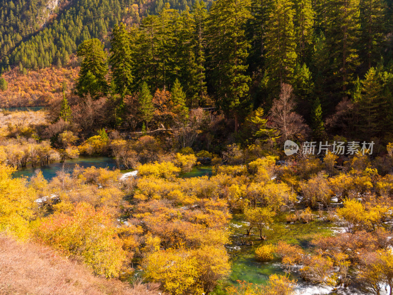 九寨沟秋景