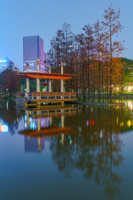 佛山千灯湖公园落羽杉红叶与城市夜景灯光