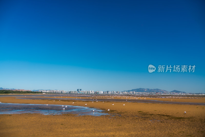 秦皇岛北戴河鸽子窝湿地