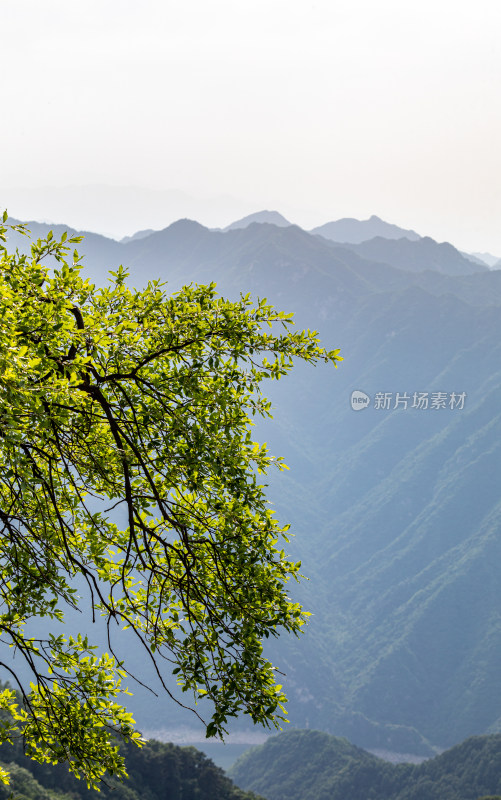 西安秦岭终南山南五台自然风光景点景观