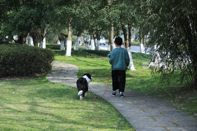 公园里牵着狗散步的中国小男孩
