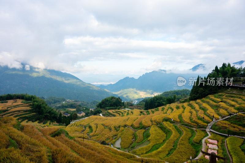 浙江丽水云和梯田景区风光