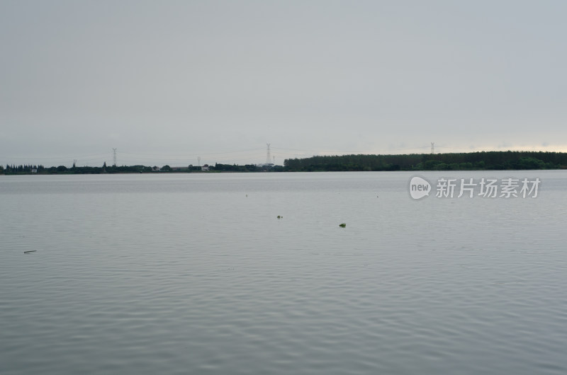 平静湖面与远处树林景观