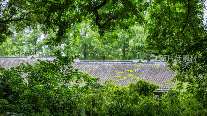 江苏省苏州拙政园景区