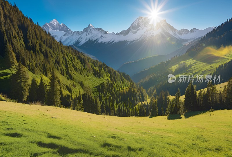 雪山草原森林风景