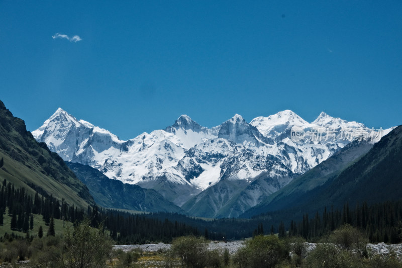 壮丽雪山景观与山下葱郁树林相映成趣