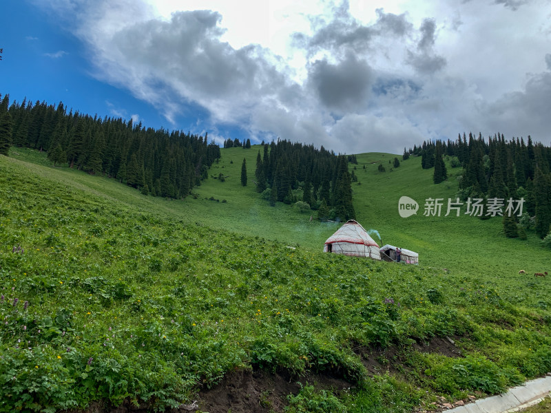 中国新疆伊犁那拉提草原旅游风光