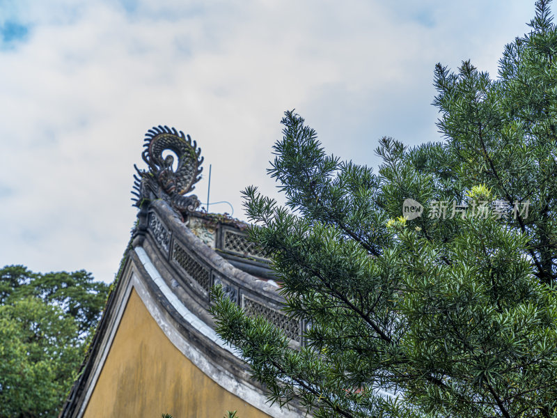 浙江普陀山慧济禅寺建筑