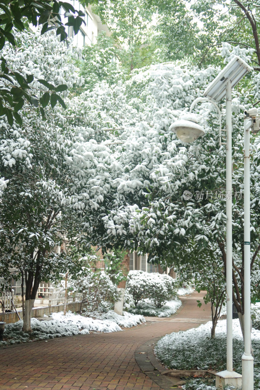 冬天雪景