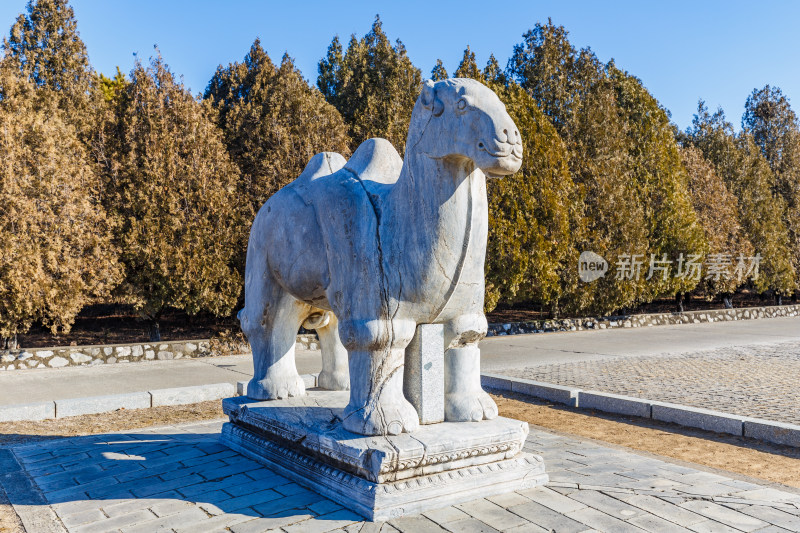 河北唐山市遵化清东陵石像立姿骆驼