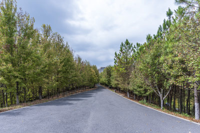 武汉江夏区藏龙岛国家湿地公园风景