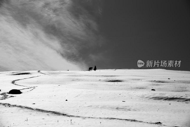 雪原上的牧马人