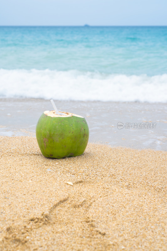 亚龙湾沙滩度假椰子