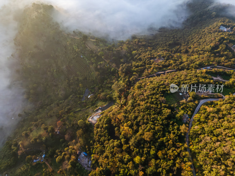 航拍景迈山云雾缭绕的村庄古寨自然风光