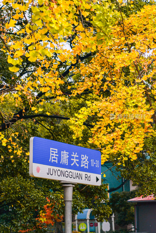 青岛八大关风景区风光