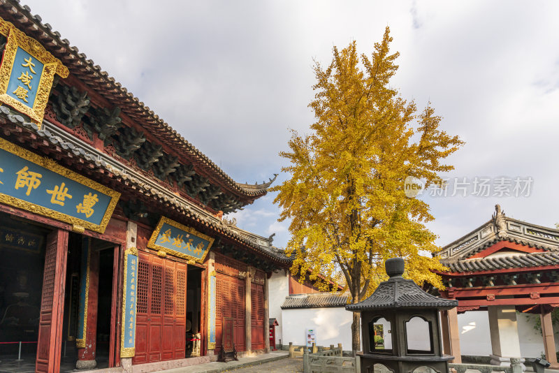 杭州上城区孔庙古园林风景