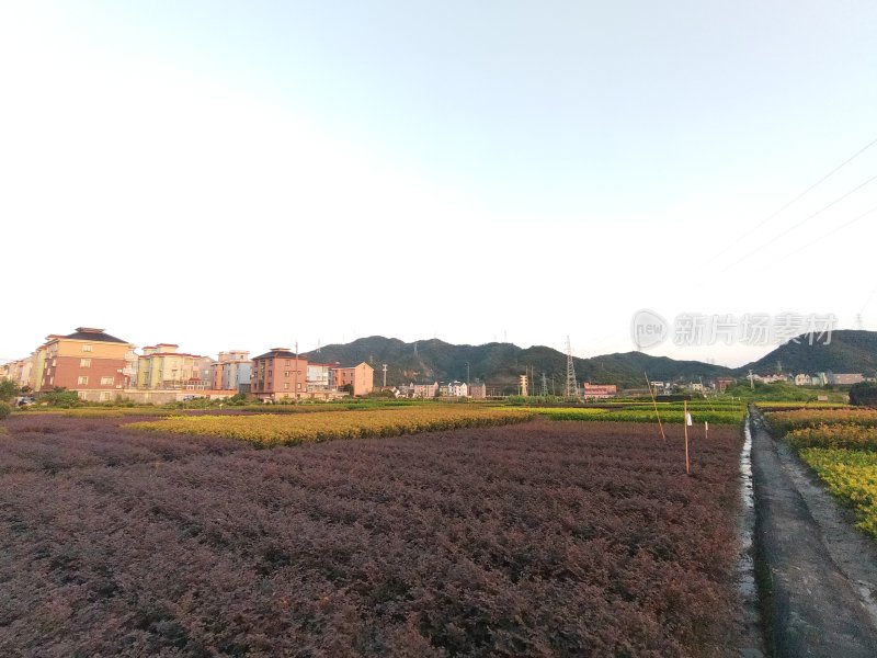 村庄旁田地的自然风景