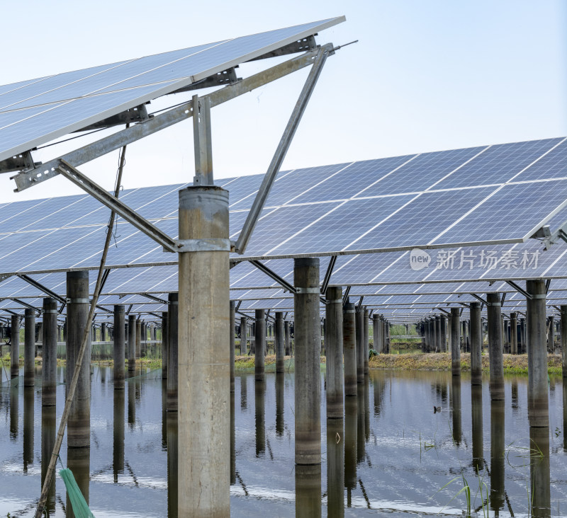 鱼光共生太阳能板 清洁能源助力绿色发展