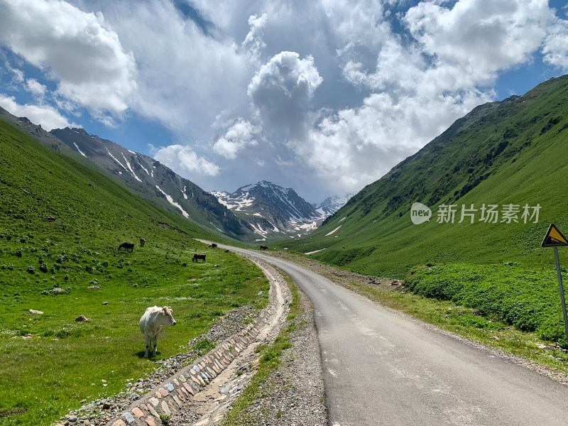 中国新疆伊犁那拉提草原旅游风光