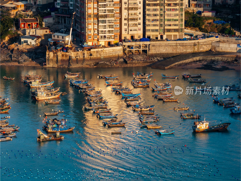 福建沿海城镇渔船停泊全景