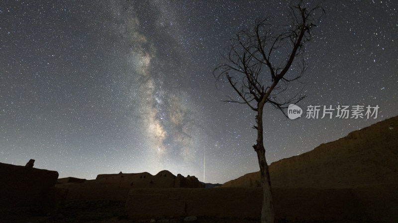 夜空星轨下的枯树与建筑