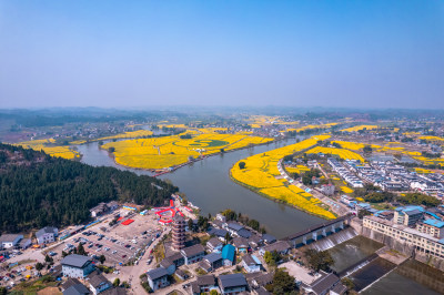 重庆潼南崇龛油菜花