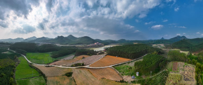 田园风景农田道路乡村振兴航拍全景图