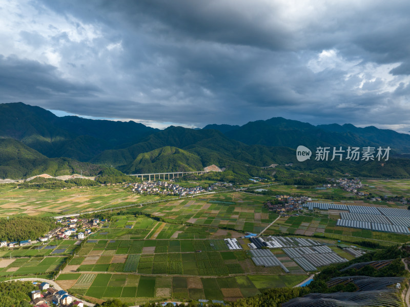 航拍乡村绿色稻田